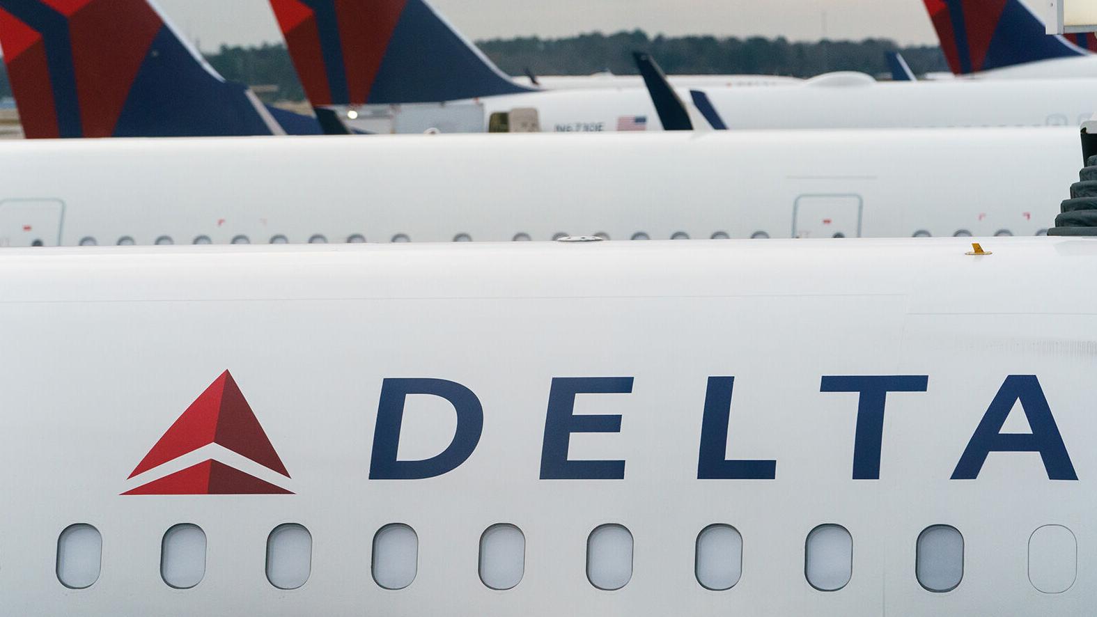 Swarm of bees delays a Delta flight by three hours